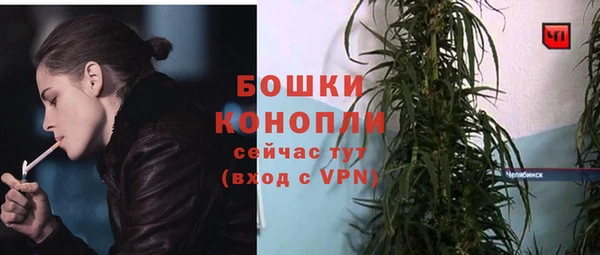 винт Магас