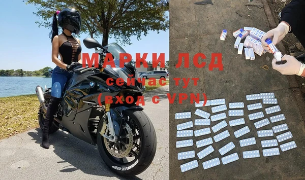 PSILOCYBIN Гусиноозёрск