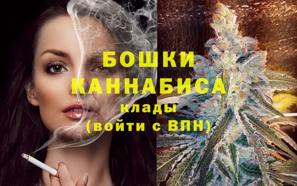 PSILOCYBIN Гусиноозёрск