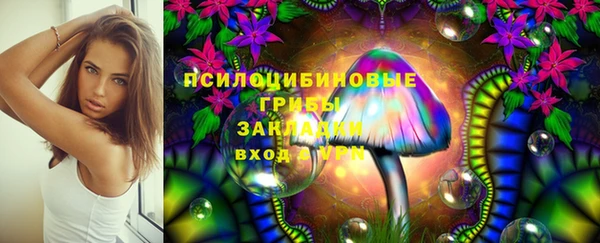 таблы Гусев